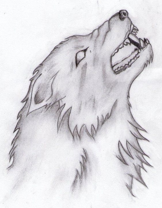 a drawing of a wolf's head with its mouth open