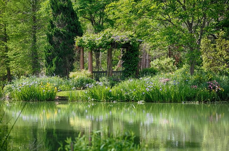 a pond surrounded by lush green trees and flowers