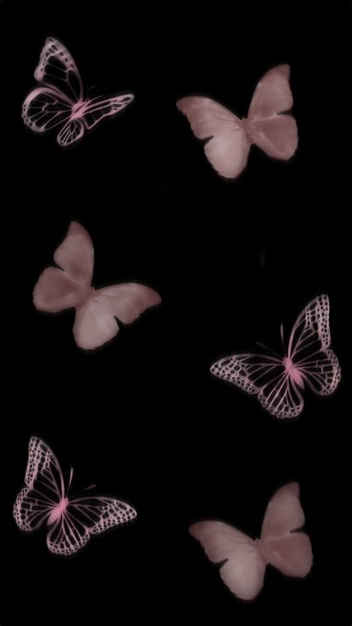 several pink butterflies flying in the dark