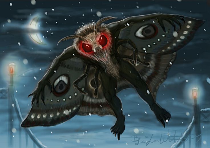 a large moth with red eyes flying through the air