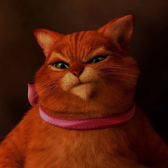 Shrek memes funny memes wallpaper funny Fat Cat Meme, Animation Stop Motion, Funny Caricatures, Animated Animals, Cat Meme, Fat Cat, Cat Aesthetic, Funny Profile Pictures, Fat Cats