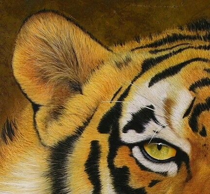 a close up of a tiger's face with yellow eyes