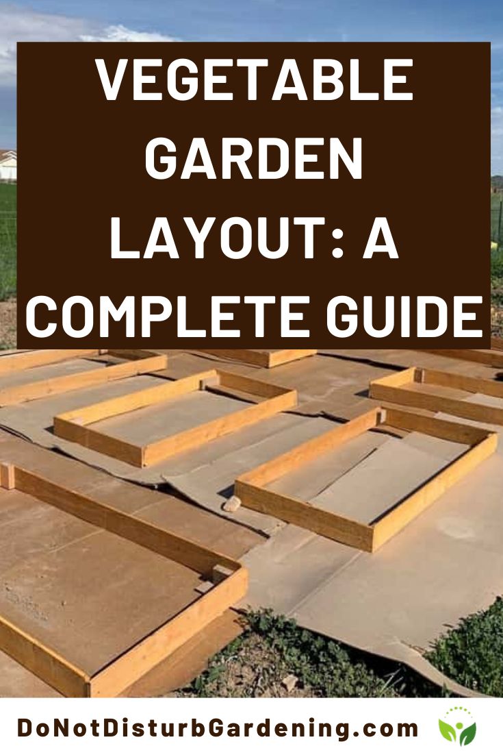 a vegetable garden layout with text overlay that reads, vegetable garden layout a complete guide