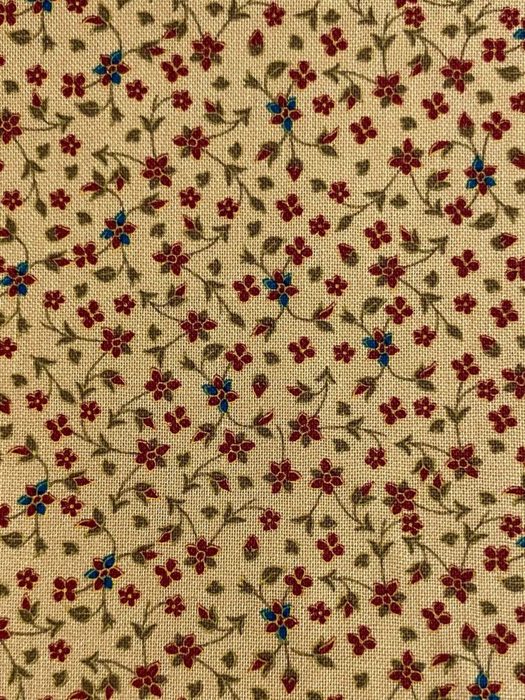 the fabric has red and blue flowers on it