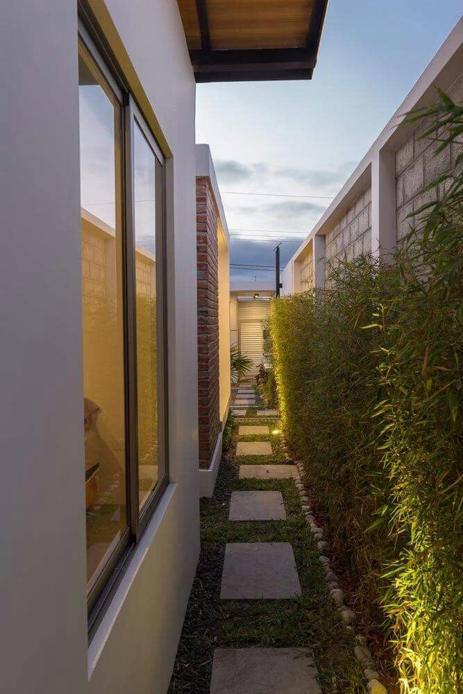 an outdoor walkway between two buildings with grass growing on each side and bushes in the middle