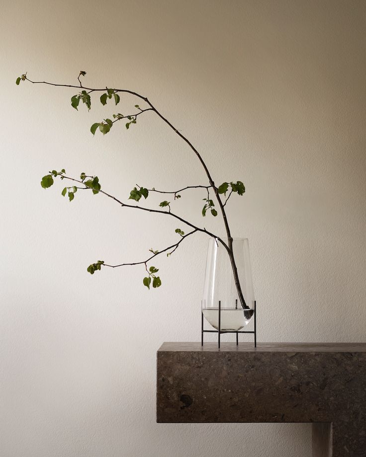 a branch in a glass vase on a table