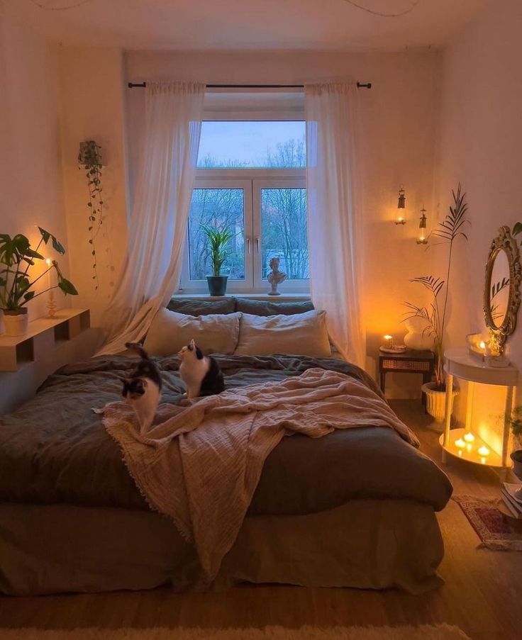 a cat sitting on top of a bed in a room with candles and lights around it