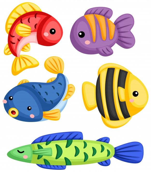 different types of fish on a white background stock photo edite and clipping to be used