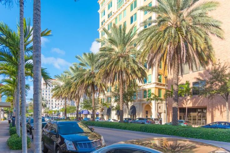 cars parked on the side of a street next to tall buildings and palm trees in front of them