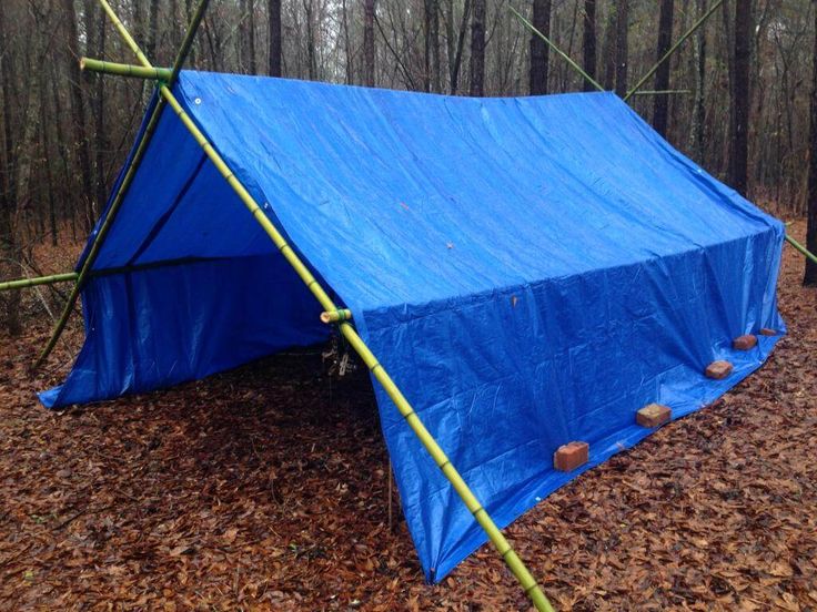 a blue tarp in the woods with some trees and leaves around it on the ground