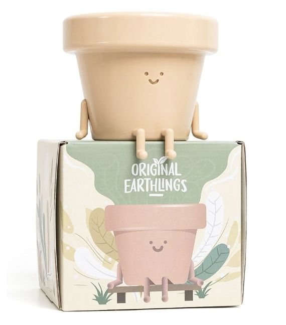 a small planter sitting on top of a cardboard box with the lid open and eyes closed