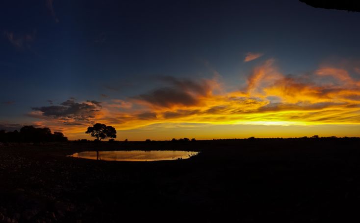 the sun is setting over a small pond in an open field with trees and grass