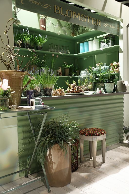 an indoor flower shop with lots of potted plants on the counter and shelves full of flowers