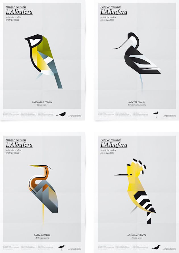 four different types of birds are shown in this graphic art printable poster design set