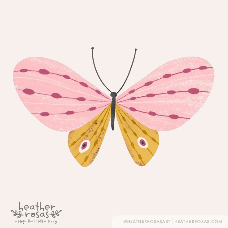 a pink and yellow butterfly on a white background