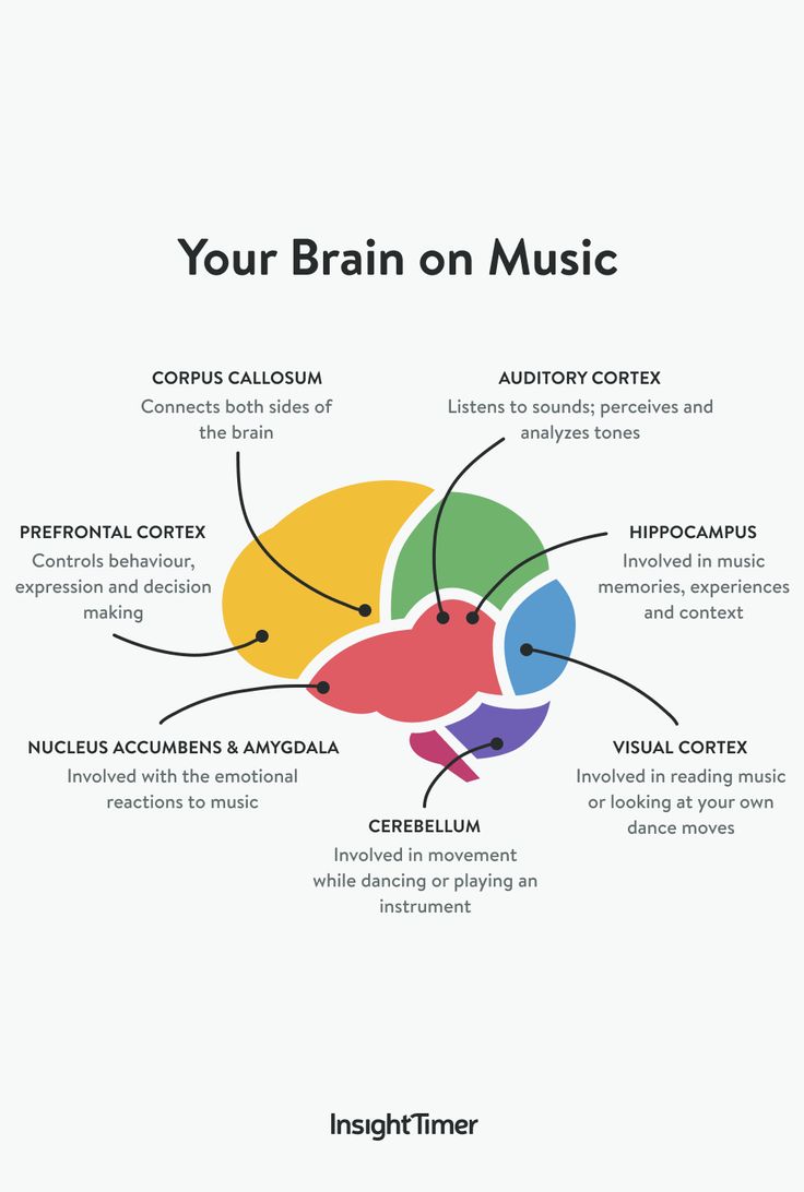 Brain On Music, Dancing Around The Kitchen, Music Infographic, Music And The Brain, Corpus Callosum, Insight Timer, Music Therapist, Full Workout, Music Help