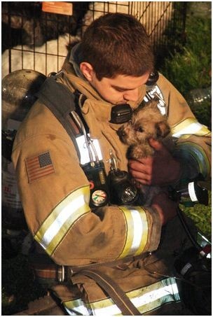 a firefighter holding a puppy in his arms