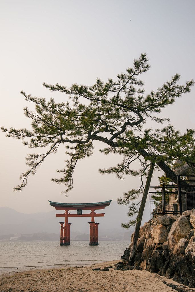 a large wooden structure sitting on top of a sandy beach next to the ocean under a tree