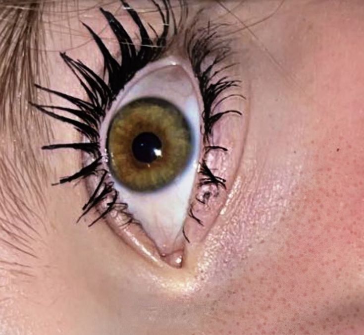 an eye with long eyelashes and green eyes