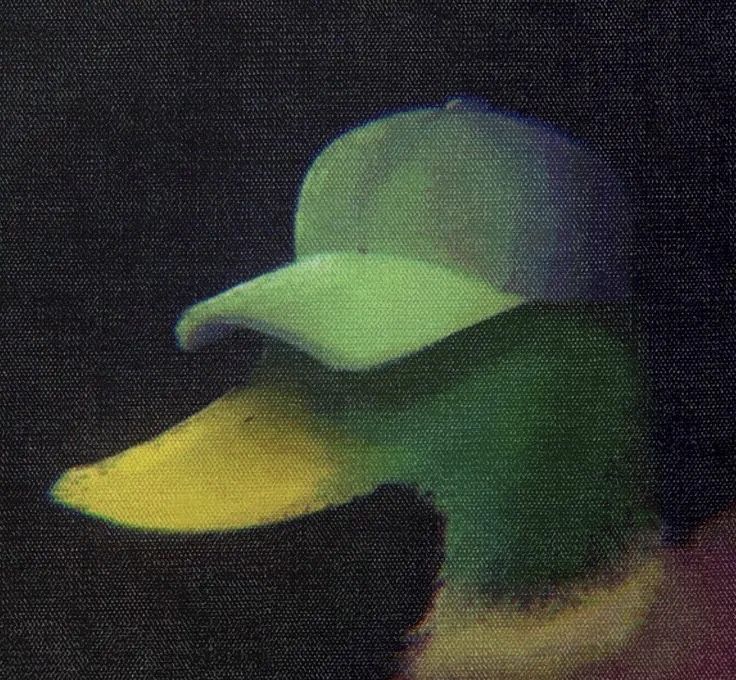 a green and yellow duck with its head turned to the side, in front of a black background