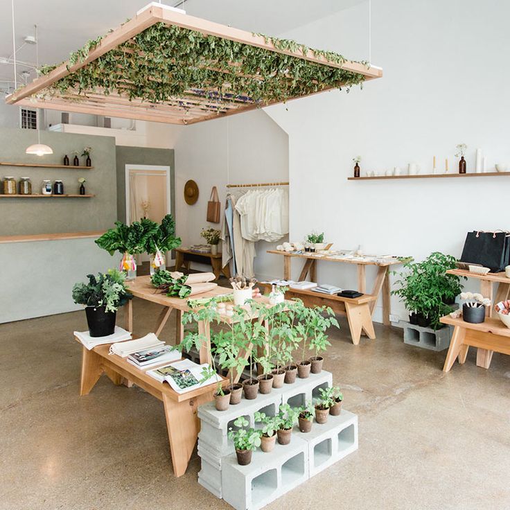 a room filled with lots of potted plants and wooden tables covered in greenery