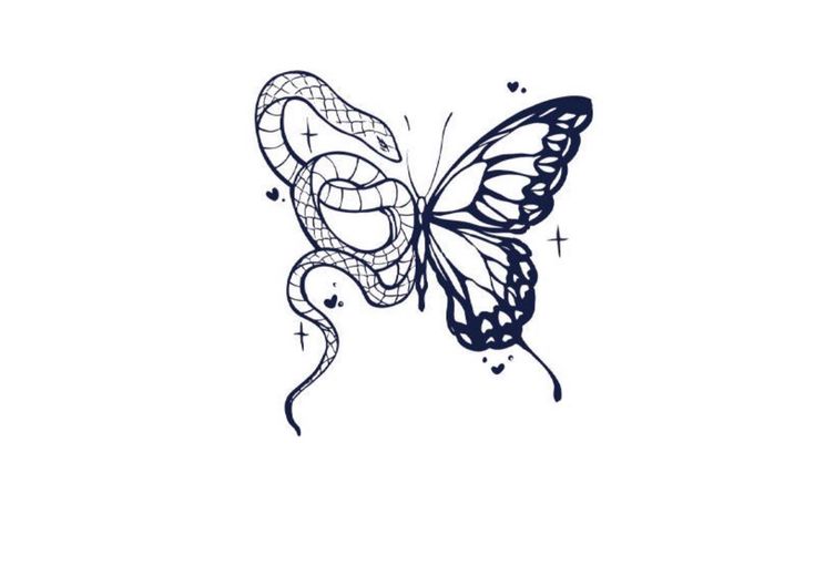 a drawing of a butterfly with an intricate pattern on it's wings and tail