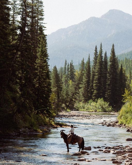 a horse standing in the middle of a river with trees and mountains in the background