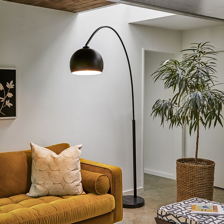 a living room filled with furniture and a large potted plant on top of a table