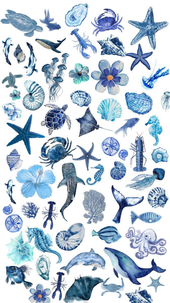 an ocean scene with many different types of sea animals and marine creatures in blue watercolors