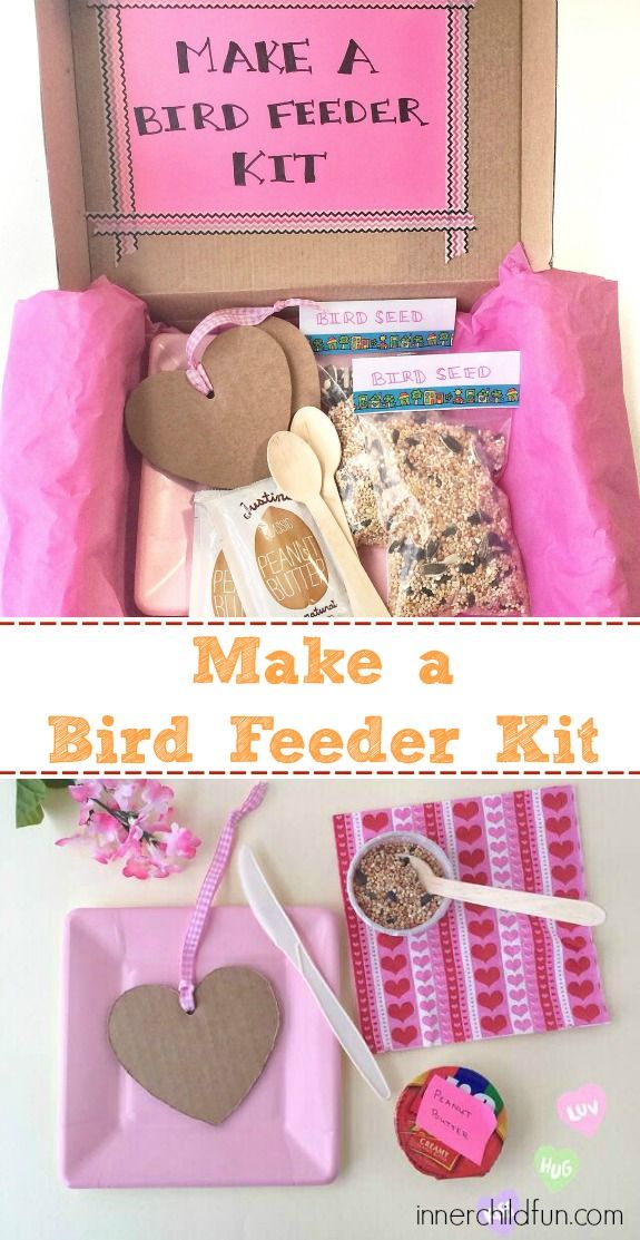 make a bird feeder kit in a box