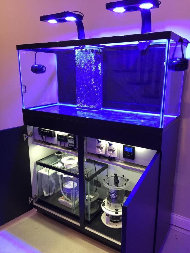 14+ Splendid DIY Aquarium Furniture Ideas To beautify Your Home