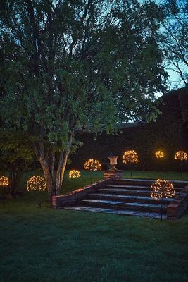 an outdoor garden with lights on the trees and steps leading up to it's entrance