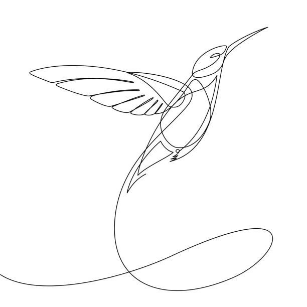 a single line drawing of a hummingbird in flight