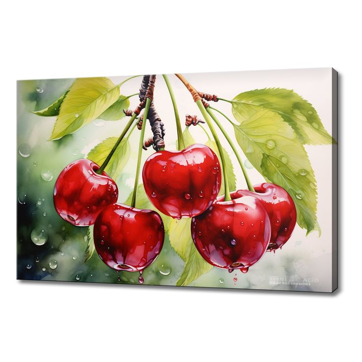 three cherries hanging from a tree with water droplets on them