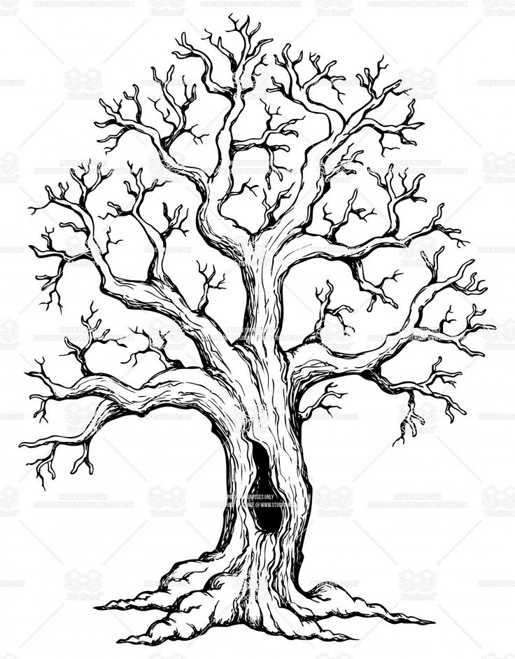 a black and white drawing of a tree