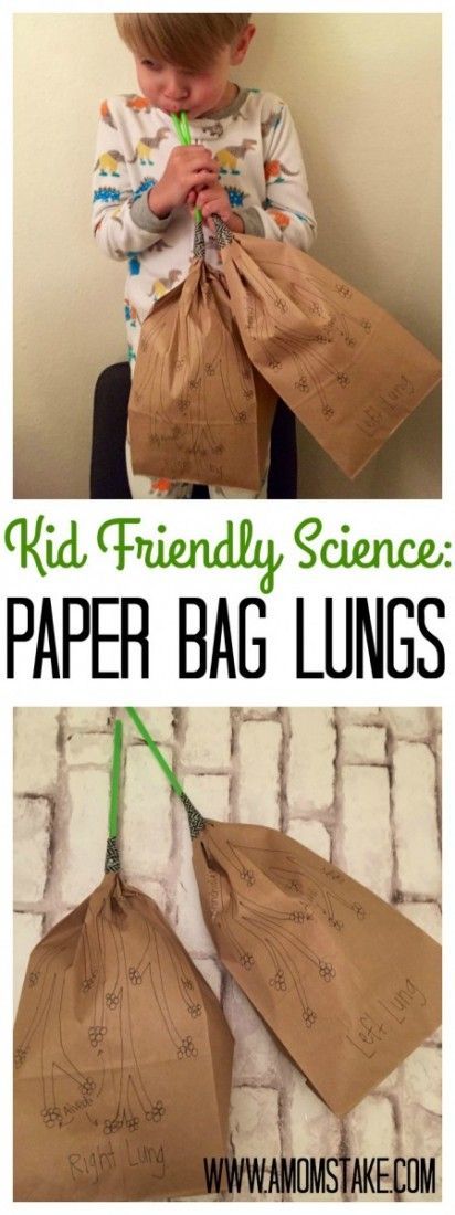 a kid is holding some paper bags with the words, kids friendly science paper bag lungs