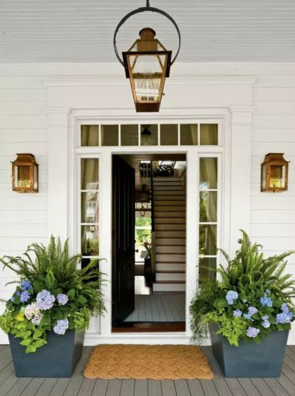 the front door is decorated with potted plants