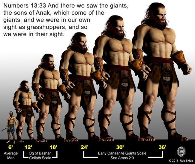 the evolution of man's body and chest in video game avatars, with numbers 13 3 and there were the giants