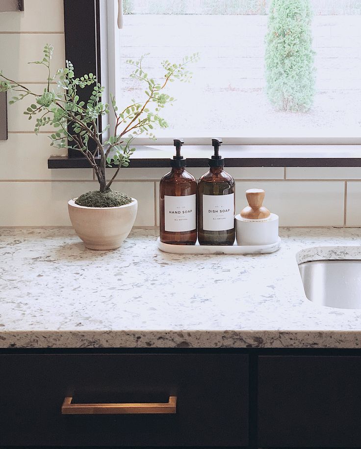 two bottles of soap sit on a kitchen counter next to a potted olive tree