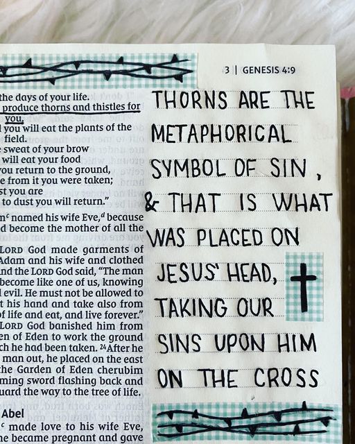 an open bible with the words, thorns are the metaphoral symbol of sin and that is what was placed on jesus's head