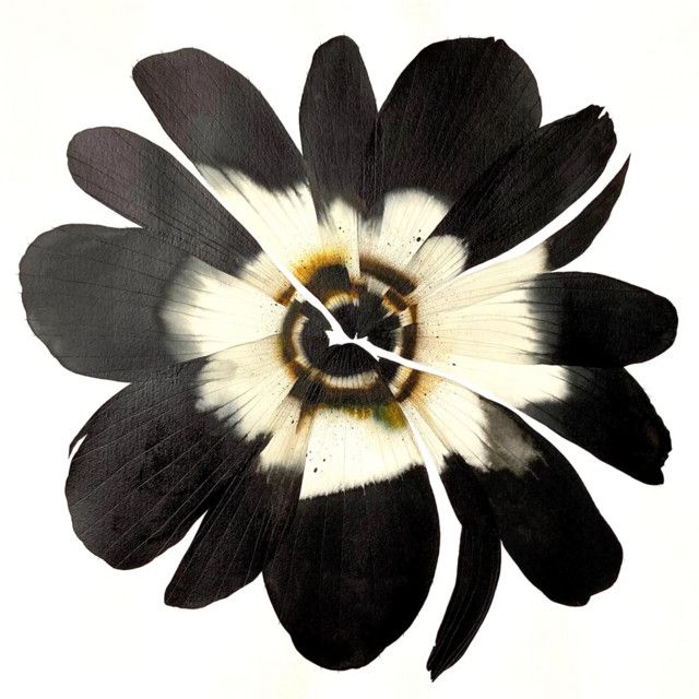 a large black and white flower on a white background with the clock in the middle