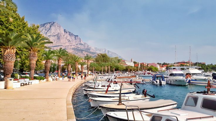 many boats are docked in the water near some palm trees and mountain range behind them