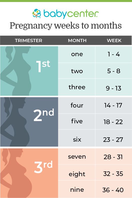 the baby center's pregancy weeks to months chart