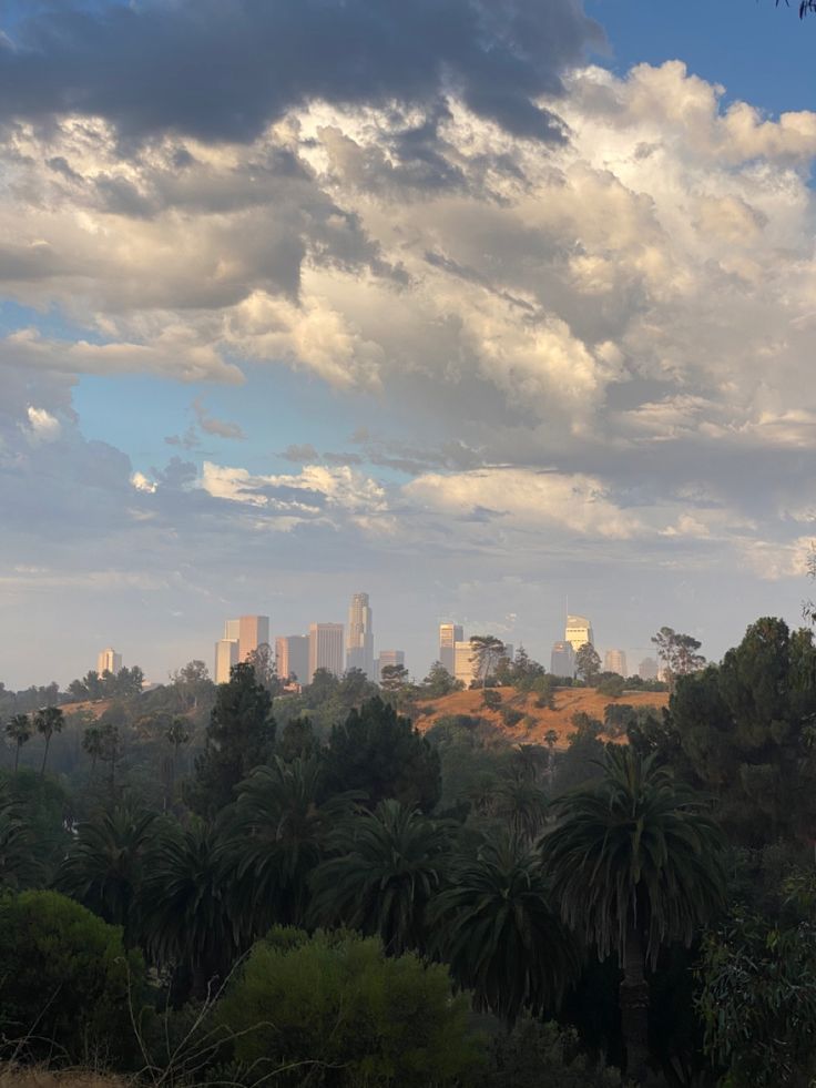 the city is in the distance with palm trees on the foreground and blue sky above