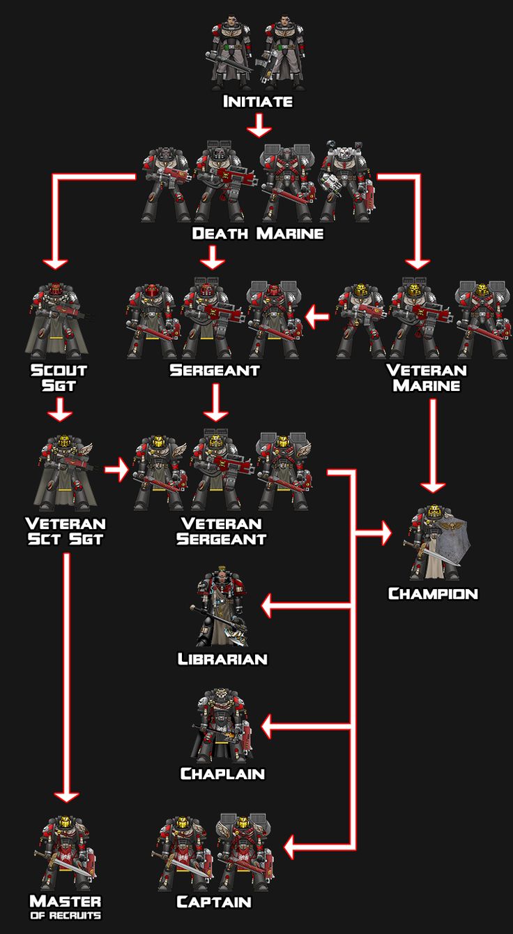 a diagram showing the different types of warhammers in various positions, with red arrows pointing