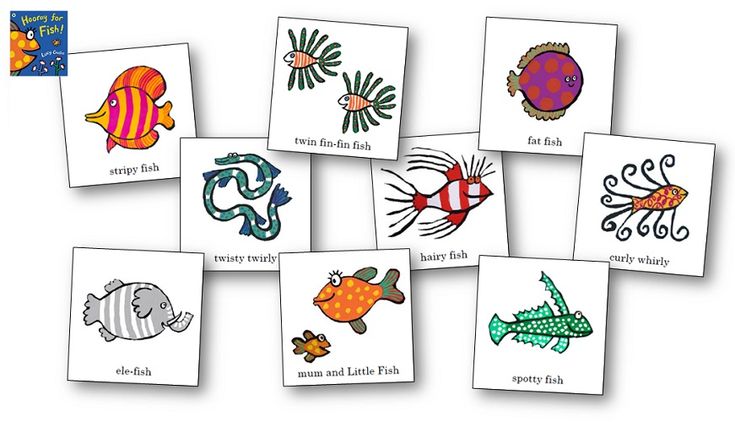 many different types of sea animals are shown