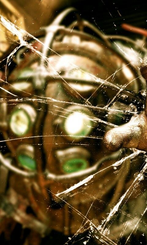 a close up view of a spider web with green eyes