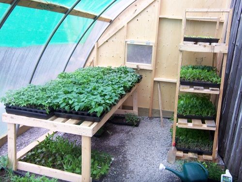 an indoor greenhouse filled with lots of green plants and growing herbs in it's shelves