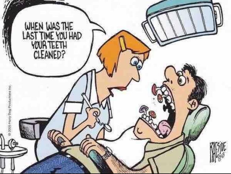 When was the last time you had your teeth cleaned? Spring Dental, Dental Meme, Dentist Cartoon, Dentistry Humor, Radiology Humor, Teeth Humor, Dental Quotes, Dental Social Media, Escondido California