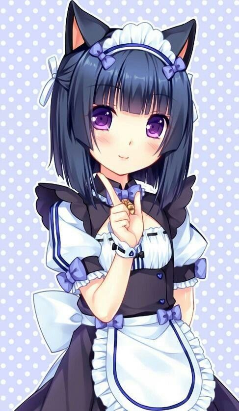 Anime Maid, Neko Cat, Fox Girl, Anime And Manga, Anime Cat, Anime Angel, Cute Anime Pics, Cat Girl, Manga Girl